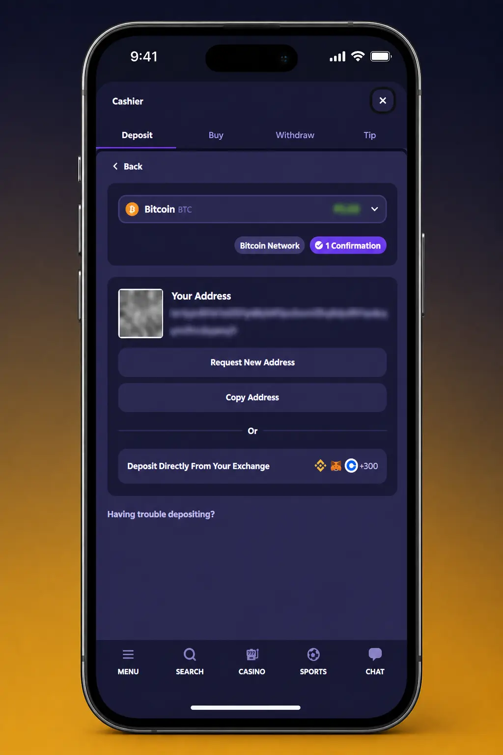 Step-by-step guide to depositing funds on Roobet in India using crypto or cash payment methods